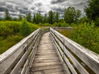 Torfowisko Tarnawa